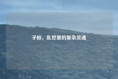 子桓，乱世里的复杂灵魂