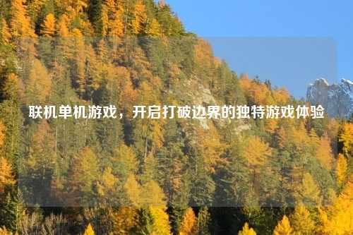 联机单机游戏，开启打破边界的独特游戏体验