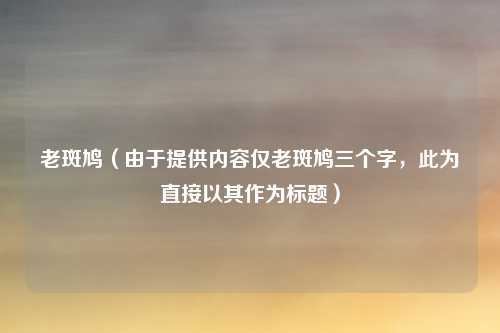 老斑鸠（由于提供内容仅老斑鸠三个字，此为直接以其作为标题）