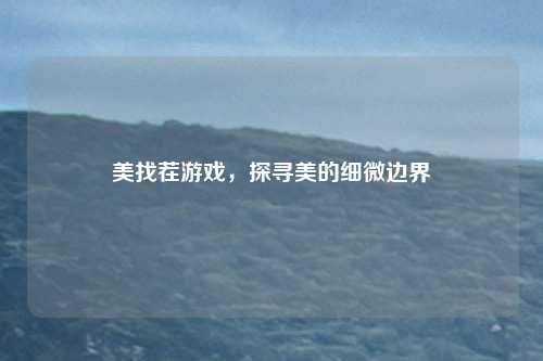 美找茬游戏，探寻美的细微边界