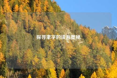 探寻聿字的读音奥秘