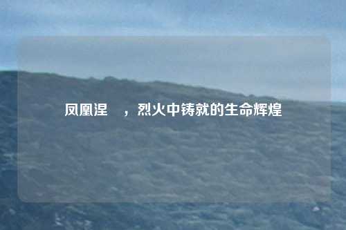 凤凰涅槃，烈火中铸就的生命辉煌
