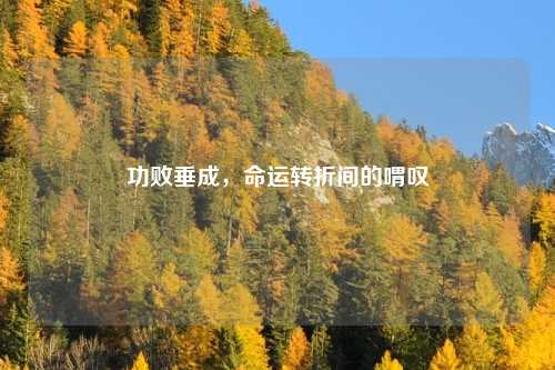 功败垂成，命运转折间的喟叹