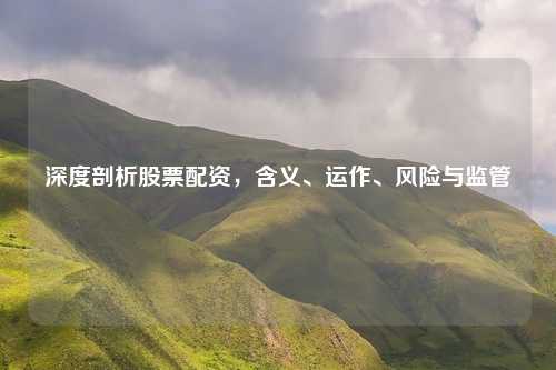 深度剖析股票配资，含义、运作、风险与监管