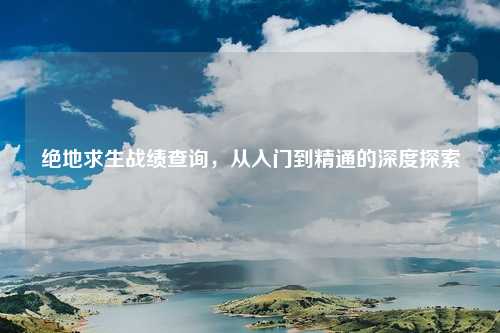 绝地求生战绩查询，从入门到精通的深度探索