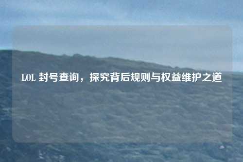 LOL 封号查询，探究背后规则与权益维护之道