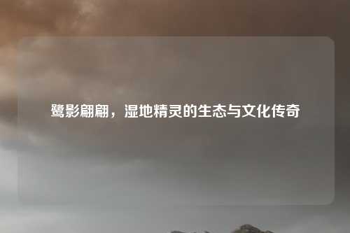 鹭影翩翩，湿地精灵的生态与文化传奇