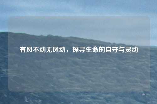 有风不动无风动，探寻生命的自守与灵动