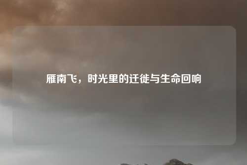 雁南飞，时光里的迁徙与生命回响