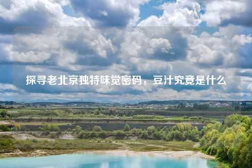探寻老北京独特味觉密码，豆汁究竟是什么