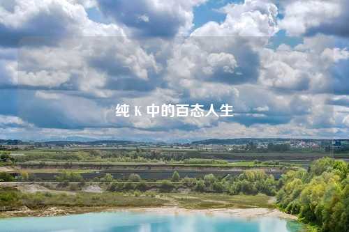 纯 K 中的百态人生