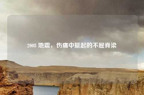 2008 地震，伤痛中挺起的不屈脊梁