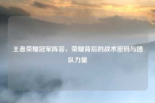 王者荣耀冠军阵容，荣耀背后的战术密码与团队力量