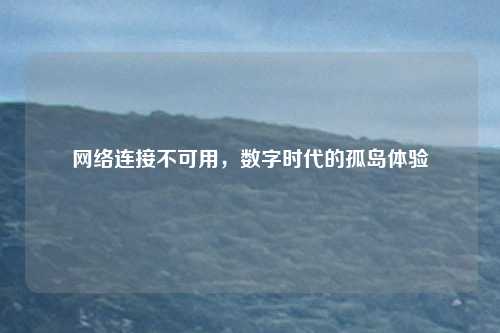 网络连接不可用，数字时代的孤岛体验