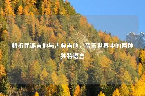 解析民谣吉他与古典吉他，音乐世界中的两种独特语言