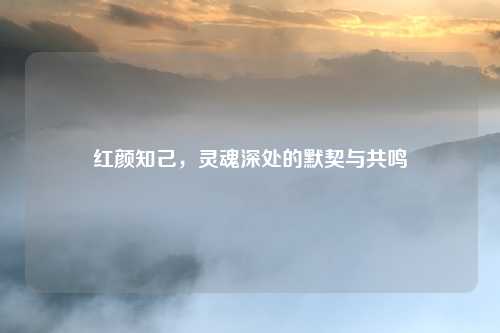红颜知己，灵魂深处的默契与共鸣