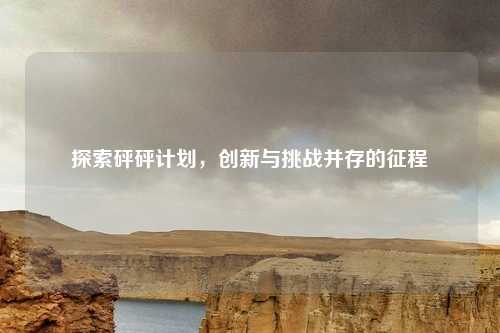探索砰砰计划，创新与挑战并存的征程