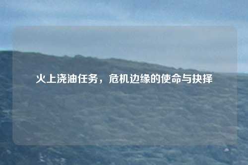 火上浇油任务，危机边缘的使命与抉择