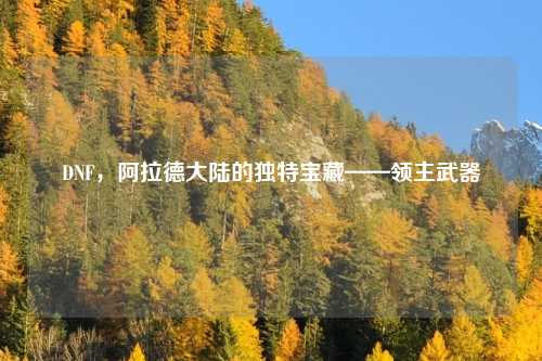 DNF，阿拉德大陆的独特宝藏——领主武器