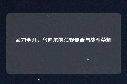 武力全开，乌迪尔的荒野传奇与战斗荣耀
