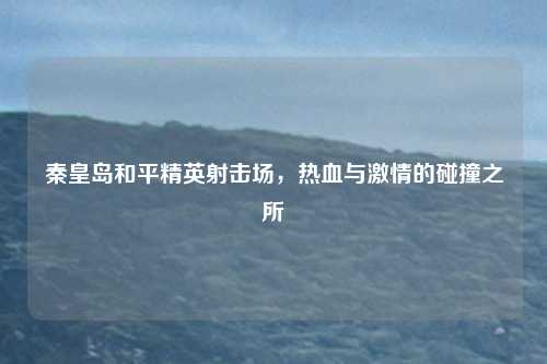 秦皇岛和平精英射击场，热血与激情的碰撞之所