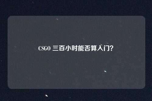 CSGO 三百小时能否算入门？