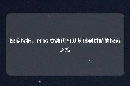 深度解析，PUBG 安装代码从基础到进阶的探索之旅