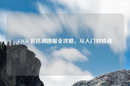 CSGO 官匹调国服全攻略,从入门到精通