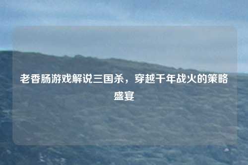 老香肠游戏解说三国杀，穿越千年战火的策略盛宴