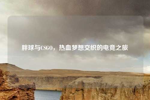 胖球与CSGO,热血梦想交织的电竞之旅