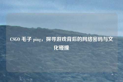 CSGO 毛子 ping,探寻游戏背后的网络密码与文化碰撞 CSGO 毛子 ping,探寻游戏背后的网络密码与文化碰撞