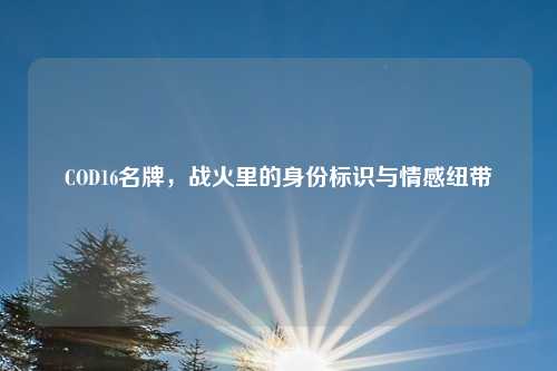 COD16名牌,战火里的身份标识与情感纽带 COD16名牌,战火里的身份标识与情感纽带