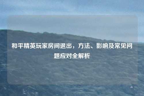 和平精英玩家房间退出,方法、影响及常见问题应对全解析 和平精英玩家房间退出,方法、影响及常见问题应对全解析