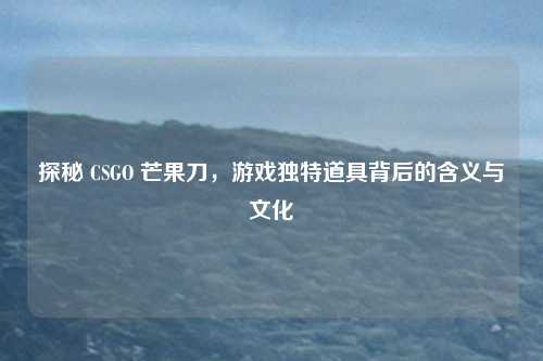 探秘 CSGO 芒果刀，游戏独特道具背后的含义与文化
