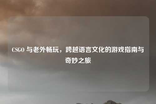 CSGO 与老外畅玩，跨越语言文化的游戏指南与奇妙之旅