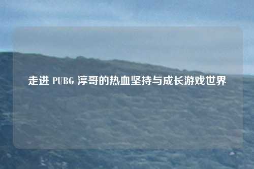 走进 PUBG 淳哥的热血坚持与成长游戏世界