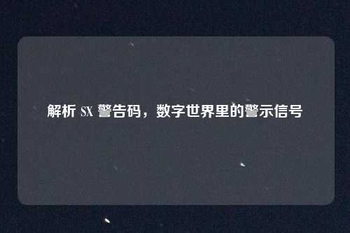 解析 SX 警告码，数字世界里的警示信号