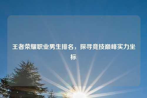 王者荣耀职业男生排名，探寻竞技巅峰实力坐标