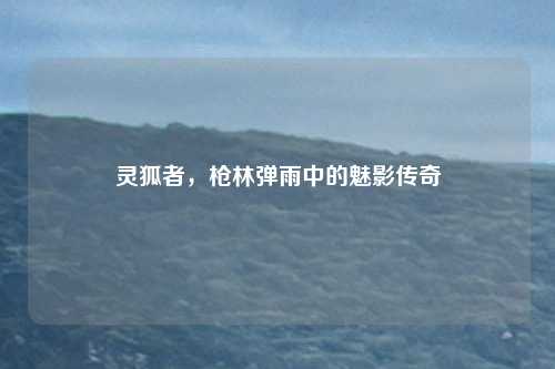 灵狐者，枪林弹雨中的魅影传奇