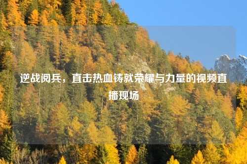 逆战阅兵，直击热血铸就荣耀与力量的视频直播现场