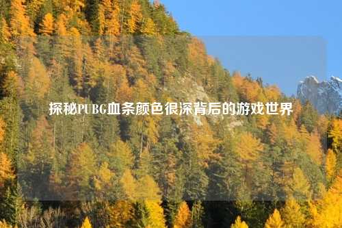 探秘PUBG血条颜色很深背后的游戏世界