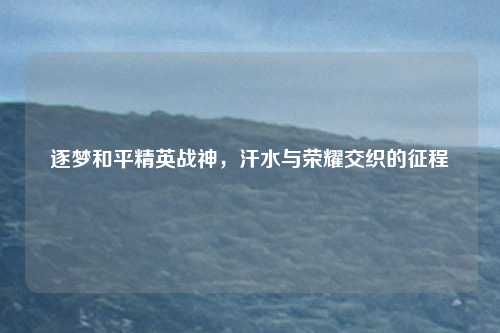 逐梦和平精英战神，汗水与荣耀交织的征程
