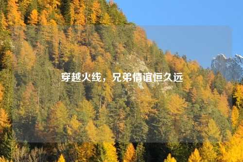 穿越火线，兄弟情谊恒久远