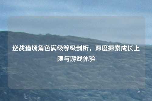 逆战猎场角色满级等级剖析，深度探索成长上限与游戏体验