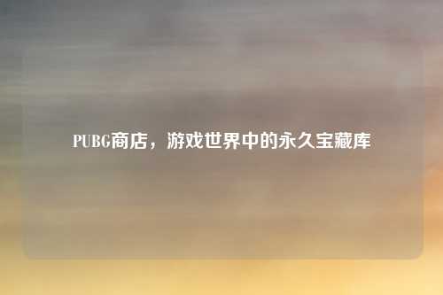 PUBG商店，游戏世界中的永久宝藏库