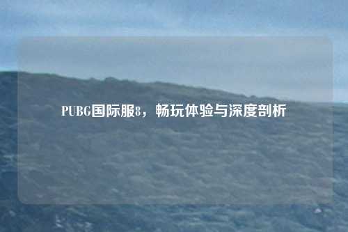 PUBG国际服8，畅玩体验与深度剖析
