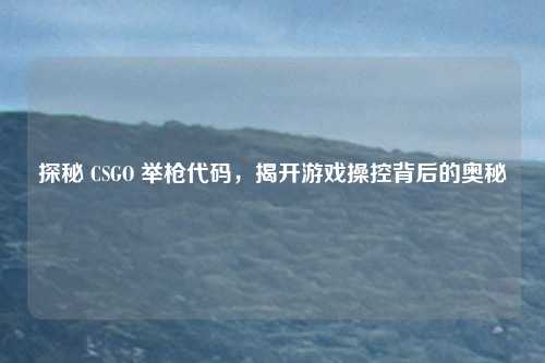 探秘 CSGO 举枪代码，揭开游戏操控背后的奥秘