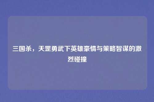 三国杀，天罡勇武下英雄豪情与策略智谋的激烈碰撞
