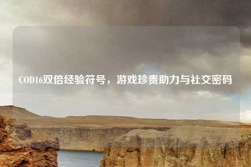 COD16双倍经验符号,游戏珍贵助力与社交密码