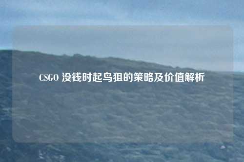 CSGO 没钱时起鸟狙的策略及价值解析